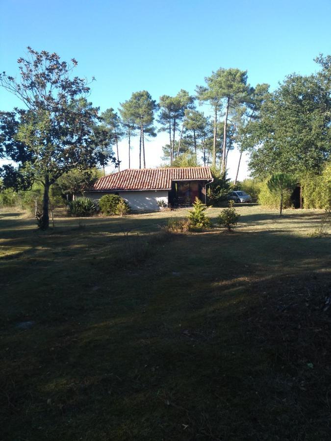 Maison confort avec cheminée , 2 chambres , sur un parc de 4000m2 arboré et clos Pissos Exterior foto