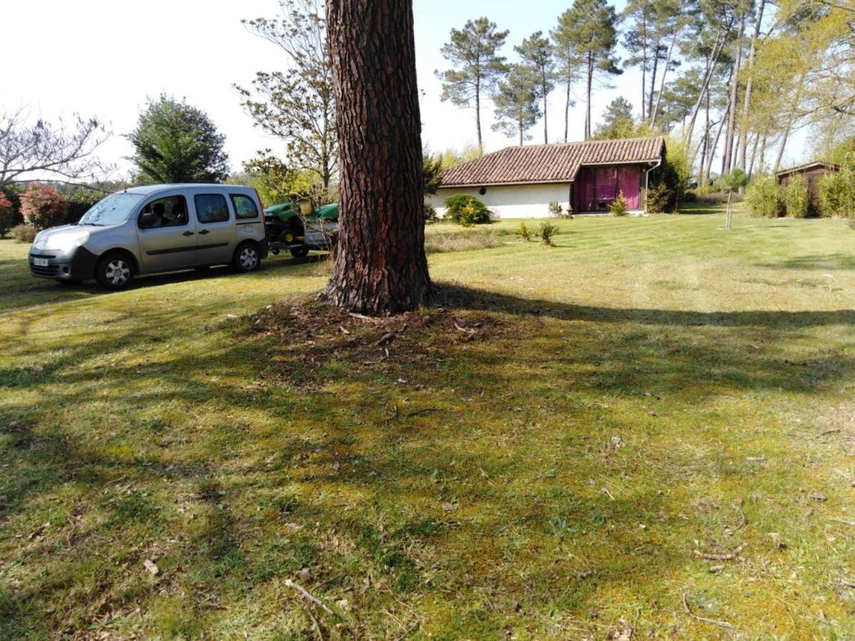 Maison confort avec cheminée , 2 chambres , sur un parc de 4000m2 arboré et clos Pissos Exterior foto