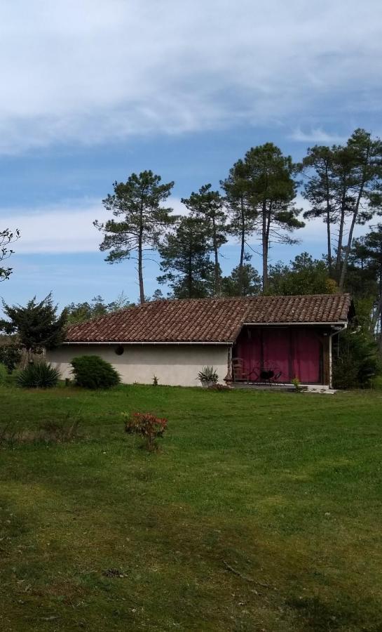 Maison confort avec cheminée , 2 chambres , sur un parc de 4000m2 arboré et clos Pissos Exterior foto